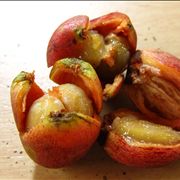 Picture Of Fresh Coffee Beans