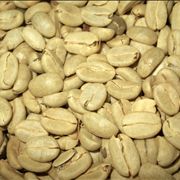 Picture Of Green Coffee Beans